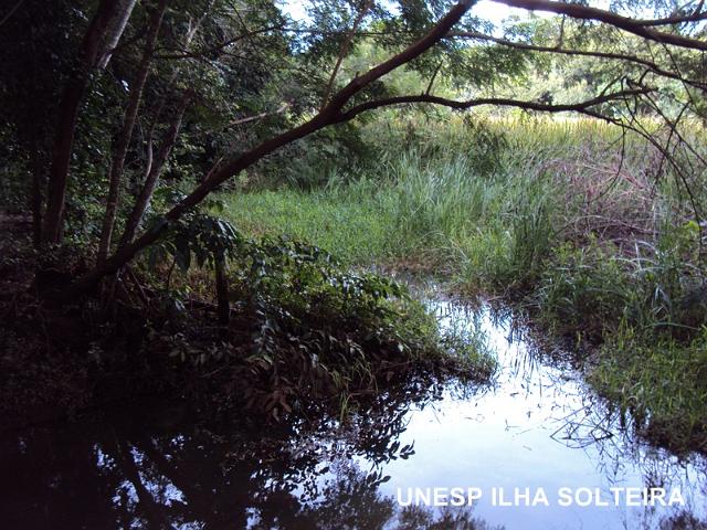 aula_25_marco_2013 (12).JPG